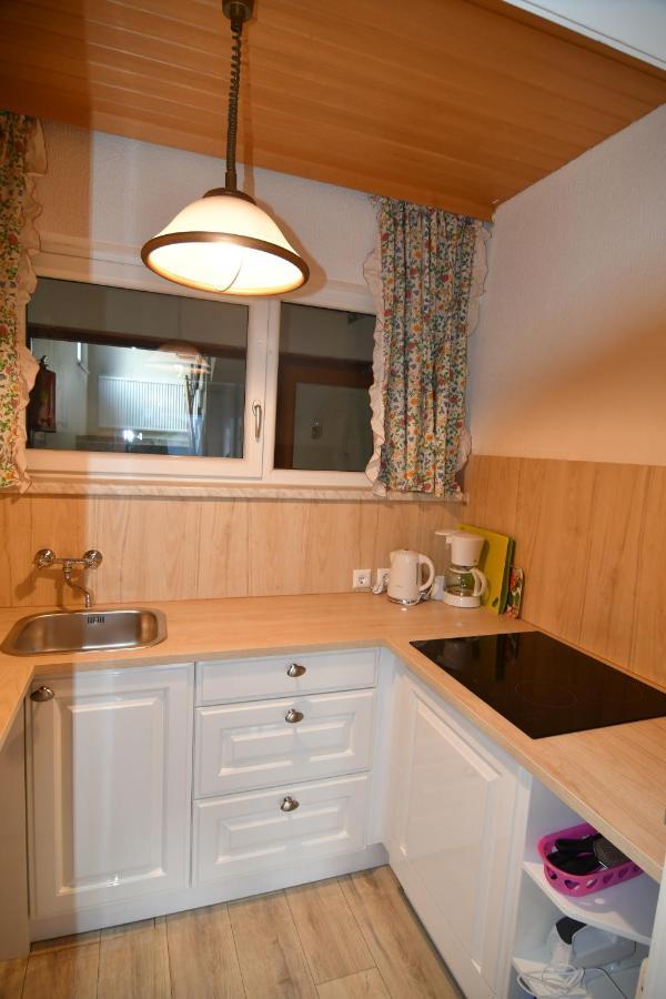Mountain View Apartment Bad Mitterndorf Esterno foto